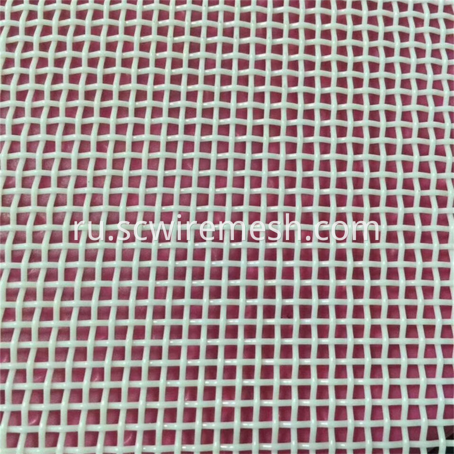 Plain Weave Polyester Mesh